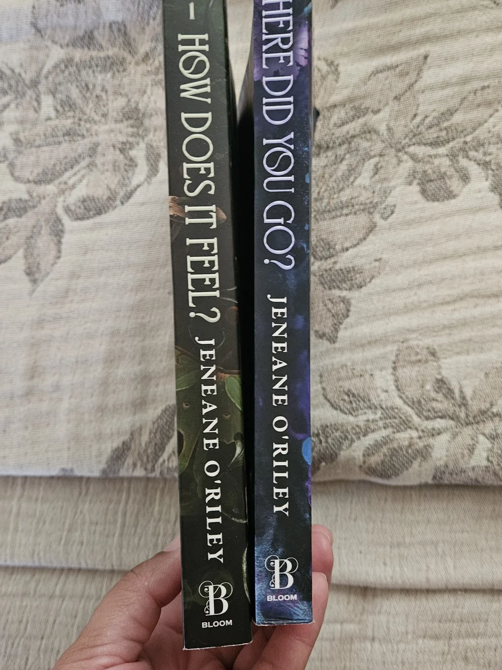 'How Does It Feel?' Where Did You Go Books Rrom JENEANE O RILEY